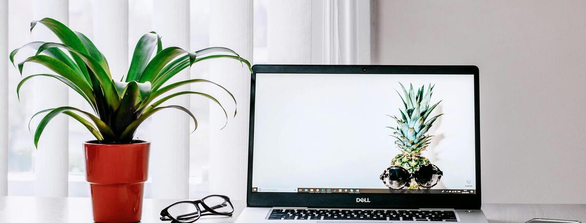 How to extend the life of your laptop: tips for efficient and long-lasting performance