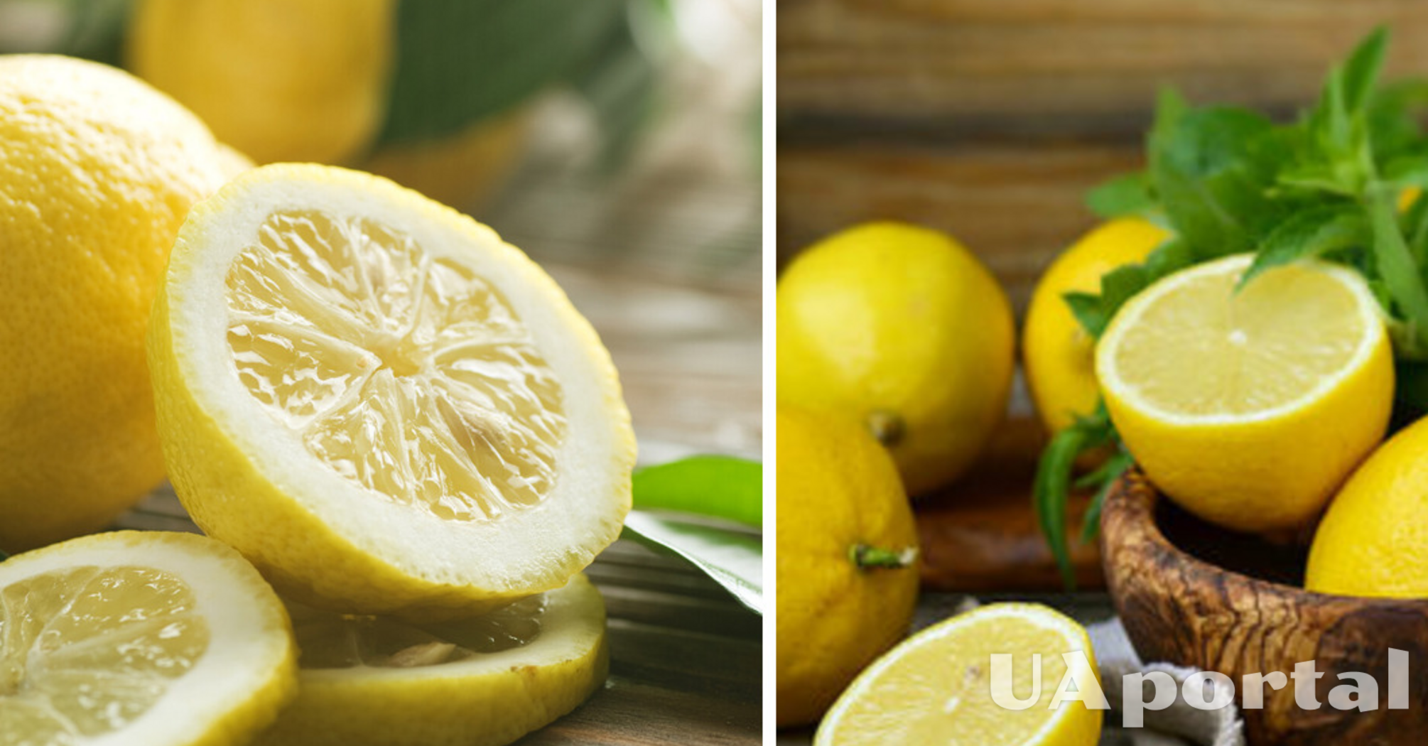 How to extend the shelf life of lemons: an effective life hack