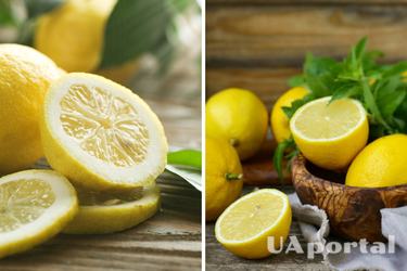 How to extend the shelf life of lemons: an effective life hack