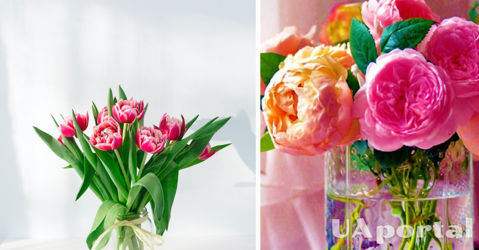 Как продлить жизнь цветам в вазе: неожиданный лайфхак