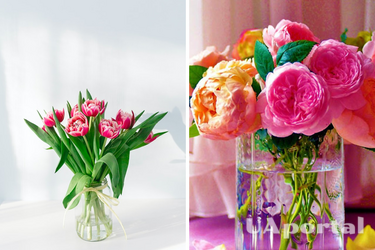 Як продовжити життя квітам у вазі: неочікуваний лайфхак