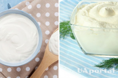 How to choose high-quality and tasty sour cream