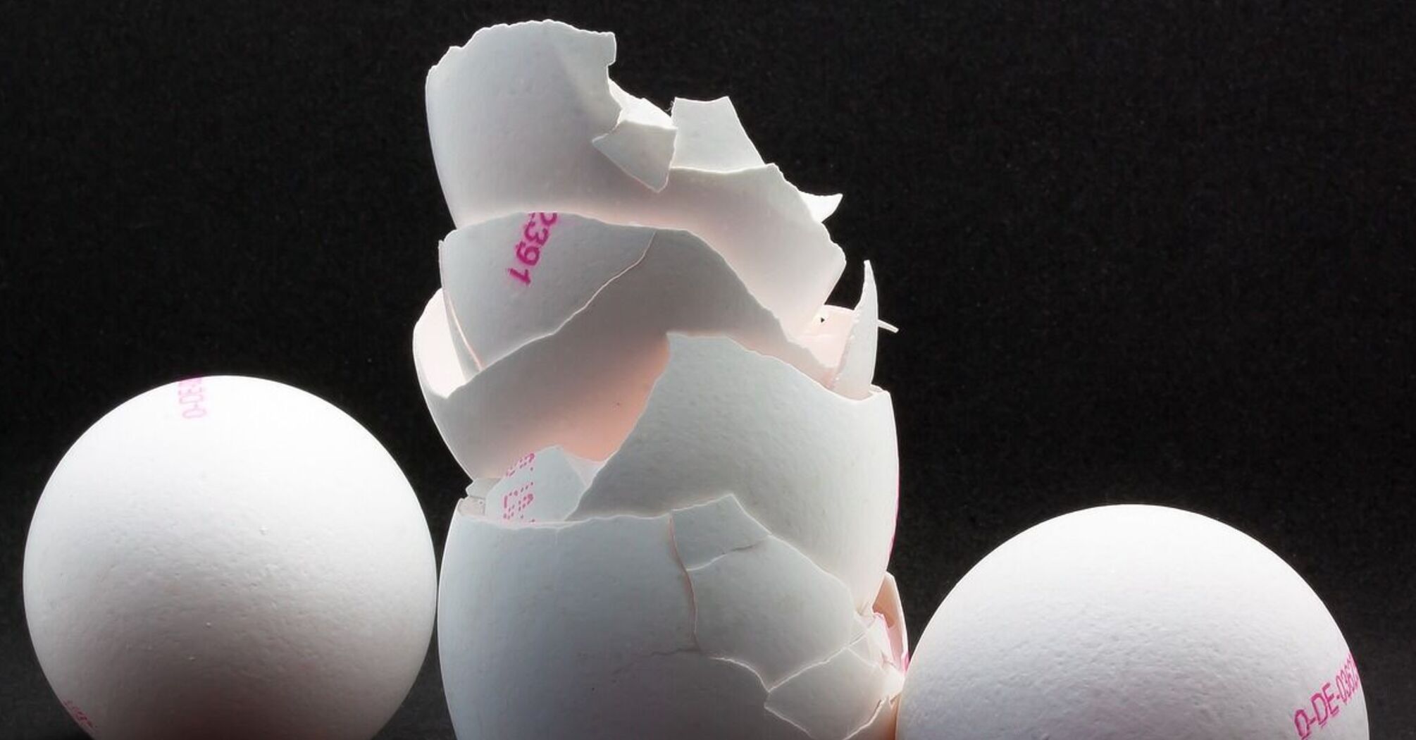 Не поспішайте викидати: яєчна шкарлупа може стати гарним добривом для городу