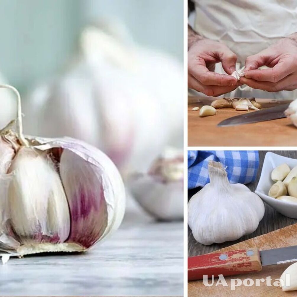 A trick that will allow you to preserve garlic all year round: it will not change its taste and will not lose vitamins