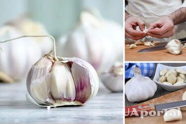 A trick that will allow you to preserve garlic all year round: it will not change its taste and will not lose vitamins