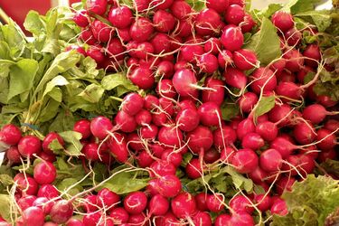 How to water radish so that it is tasty and juicy: gardeners' advice