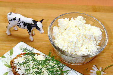 Як відрізнити натуральний кисломолочний сир від рослинних підробок: 5 простих порад