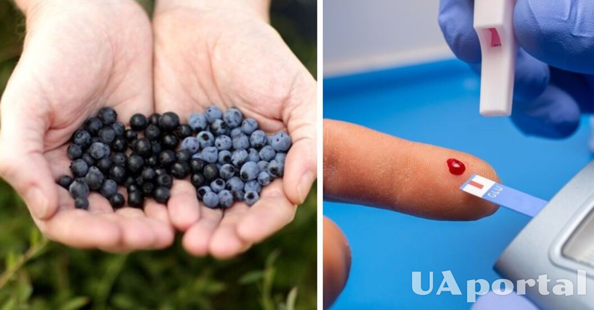 Lowers blood sugar: which berry nutritionists recommend for diabetics