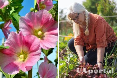 Які рослини садити в квітні до Великодня