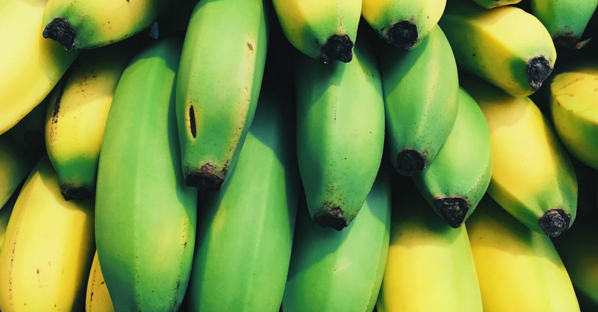Только не в холодильнике: эксперты назвали 4 способа сохранить бананы свежими длительное время