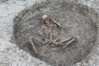 Жорстокості не було меж: вчені виявили, що жертвоприношення було надзвичайно розповсюдженим явищем в епоху неоліту