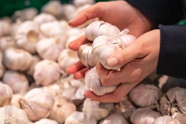 Как увеличить урожай чеснока: эксперты поделились секретом