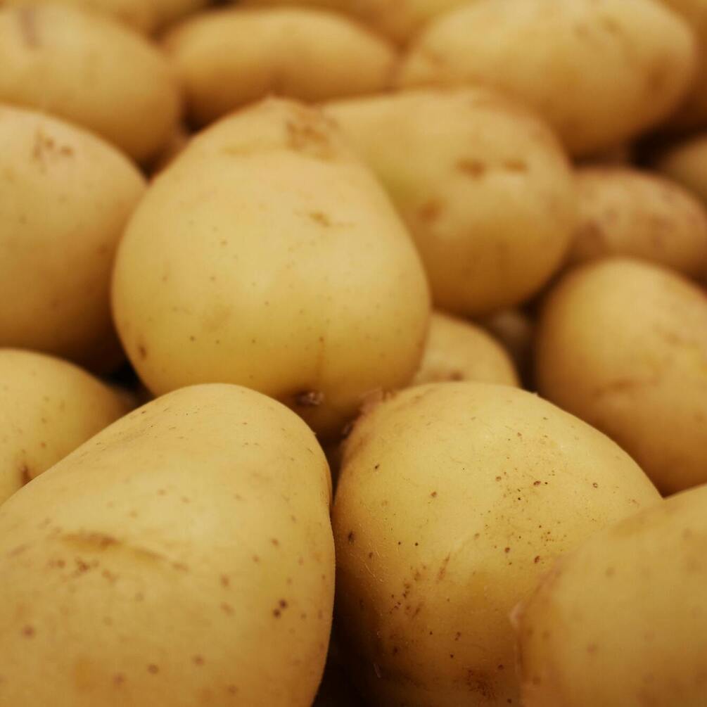 Як збільшити врожай картоплі: кроки, які варто зробити перед посадкою