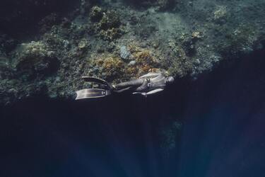Вблизи острова Пасхи обнаружили более 50 неизвестных ранее видов морских существ (фото)