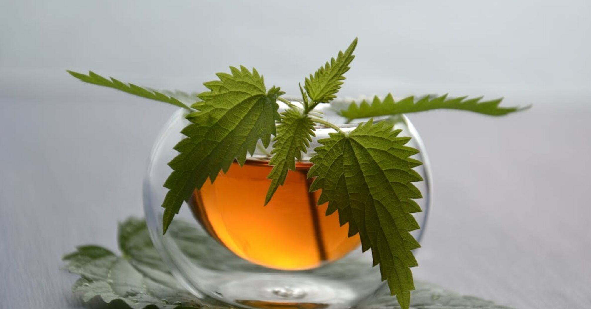 Ta herbata oczyści krew z nadmiaru cukru: wystarczy zaparzyć tę roślinę