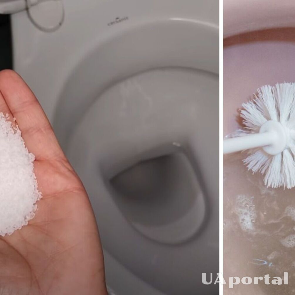 Lepsze niż jakakolwiek chemia: po co wsypywać do toalety sól i proszek do prania