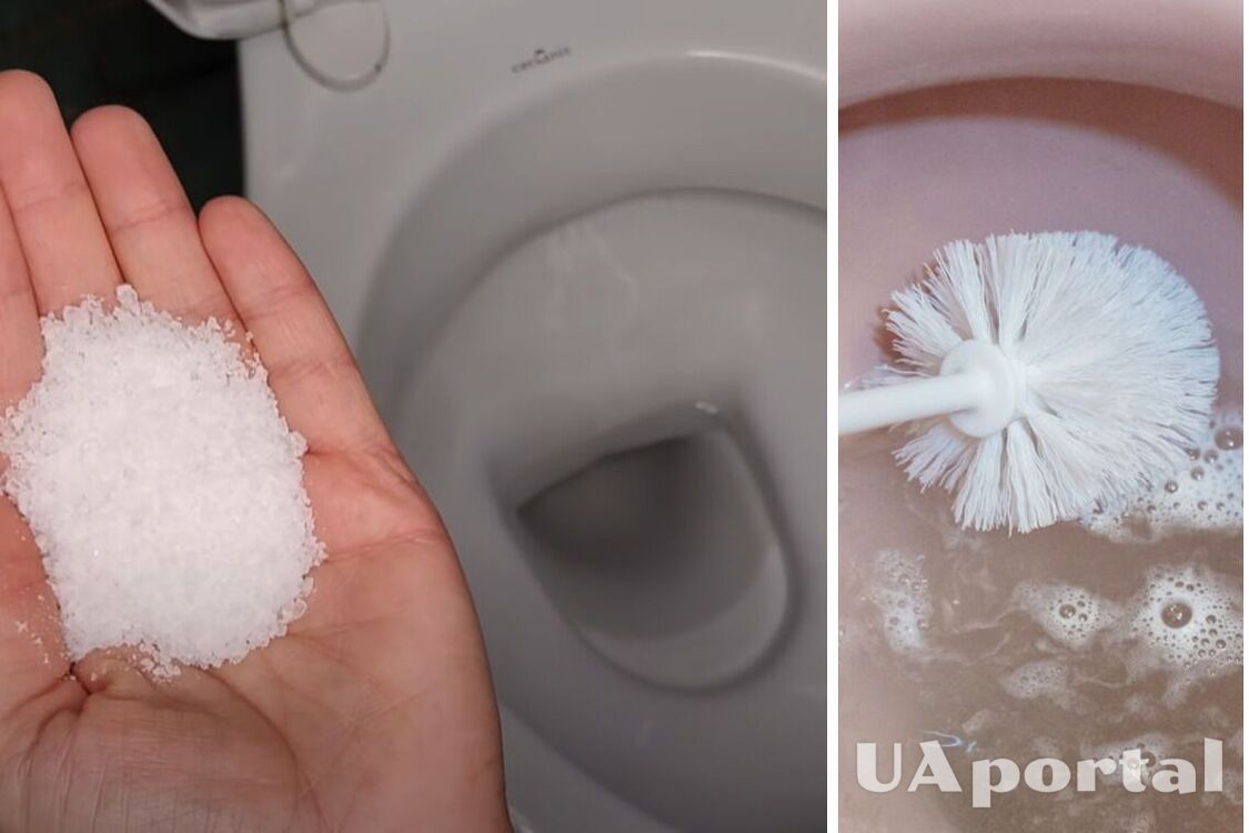 Better than any chemicals: why pour salt and washing powder into the toilet