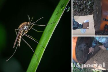 Погибнут тысячи комаров за одну ночь: неожиданный лайфхак от американца (видео)