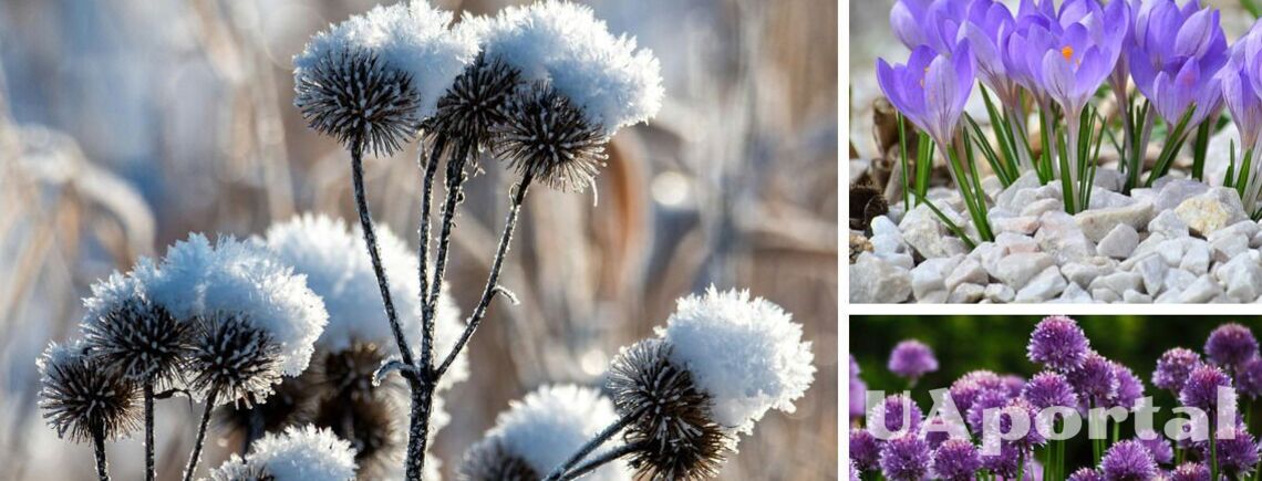 Заморозки та мокрий сніг: синоптики ошелешили прогнозом погоди в Україні