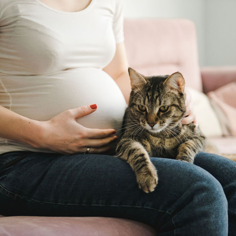 Как подготовиться к беременности, чтобы все прошло без усложнений