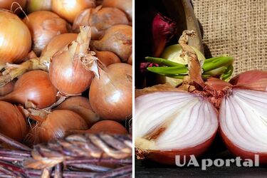 З якими продуктами заборонено зберігати цибулю: швидко проросте та зіпсується