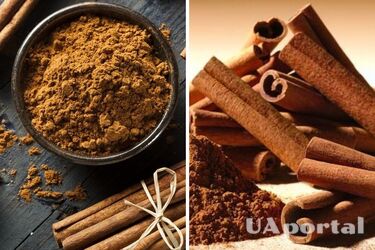 Чи можна їсти корицю щодня