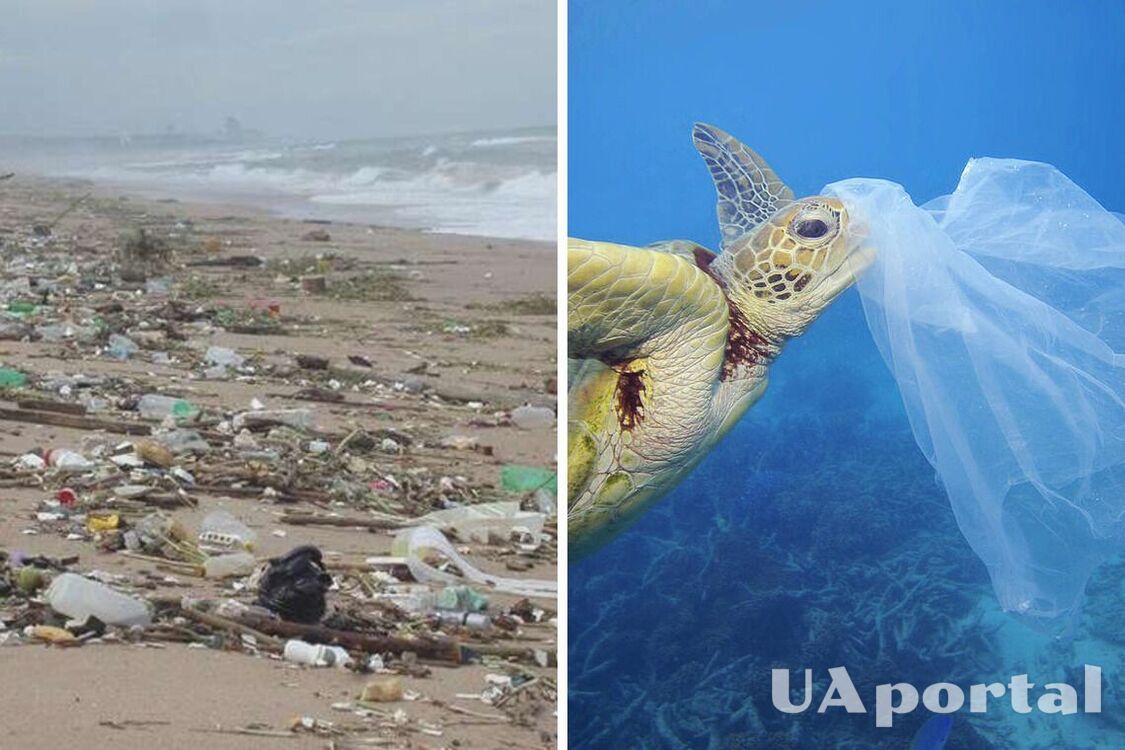 Грузовик за минуту: ученые исследовали, сколько мусора добавляется в океан каждый день