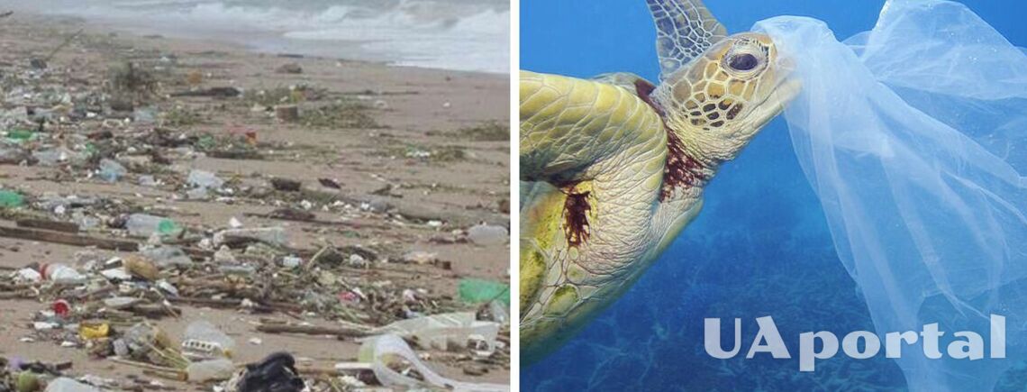 Грузовик за минуту: ученые исследовали, сколько мусора добавляется в океан каждый день
