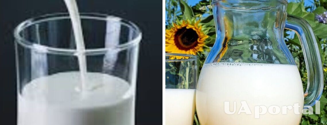 Меньше – не значит полезнее: молоко с какой жирностью советуют пить диетологи