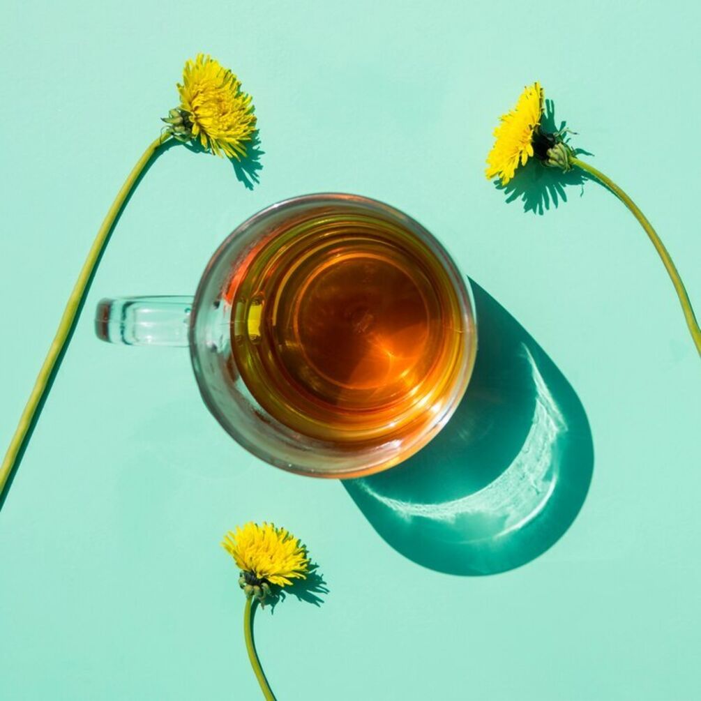 Настоящий витаминный коктейль: названы полезные свойства чая из одуванчика