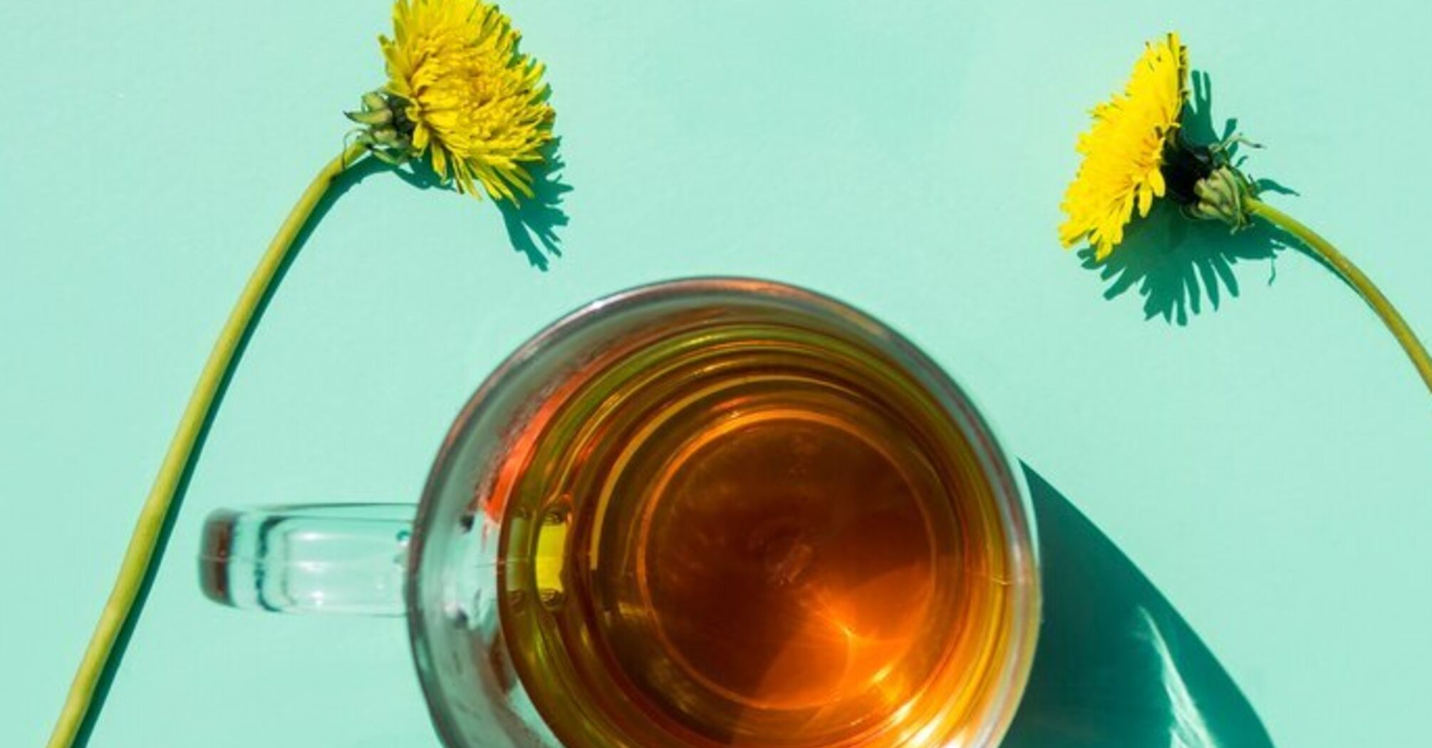 Справжній вітамінний коктейль: названо корисні властивості чаю з кульбаби