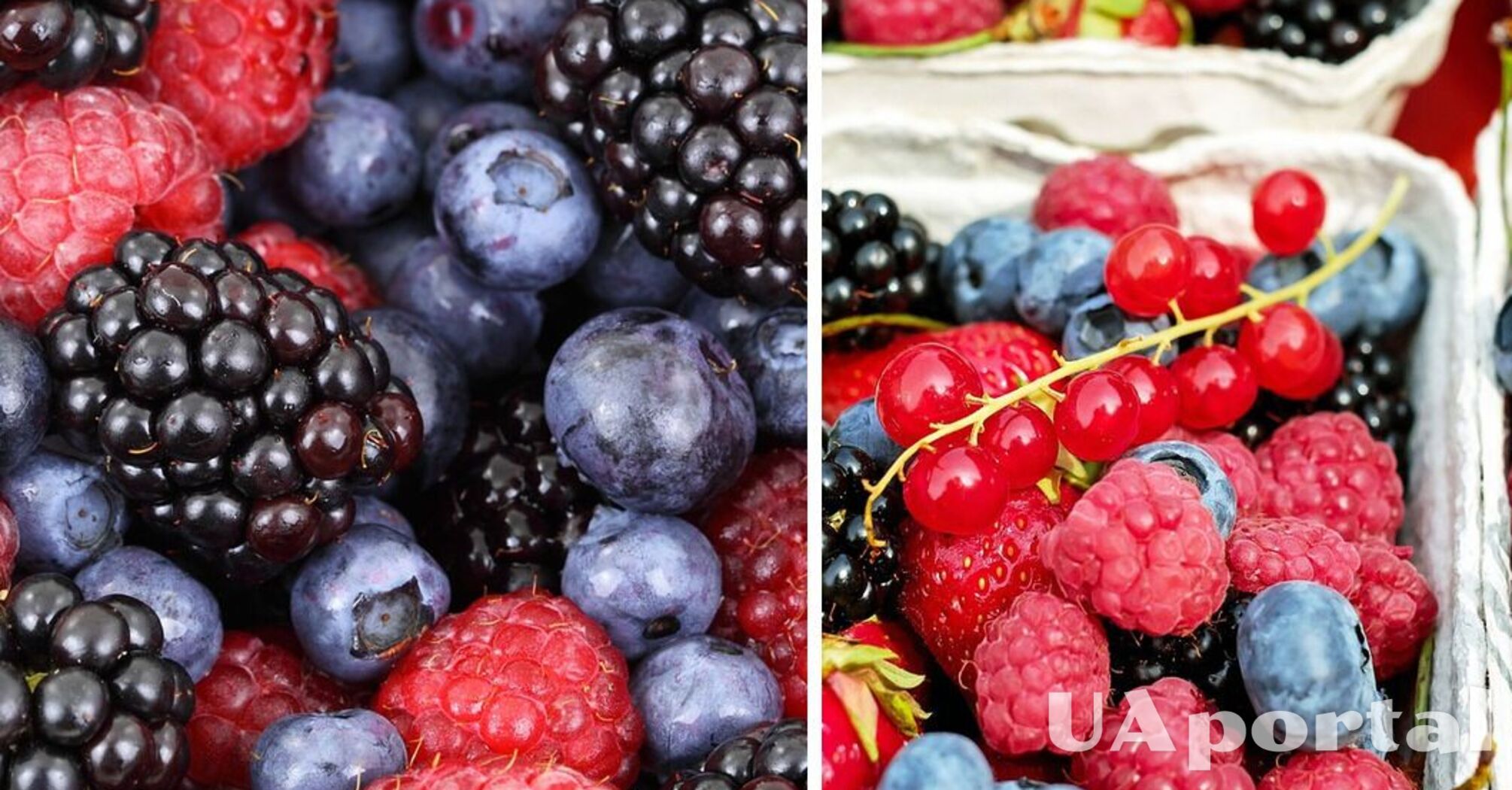 Эксперты объяснили, как правильно хранить ягоды, чтобы долго оставались свежими