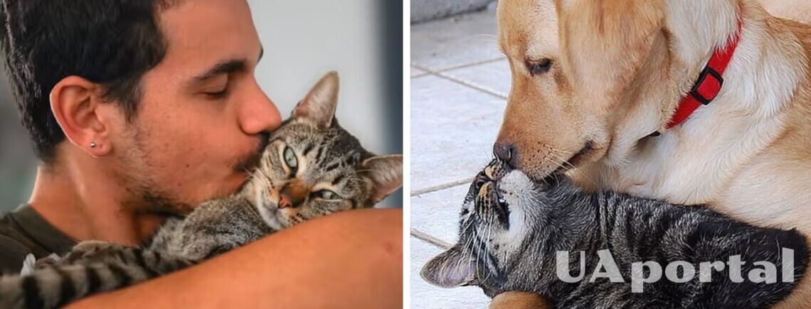 Чому не варто цілувати собак або котів: які ризики для здоров'я