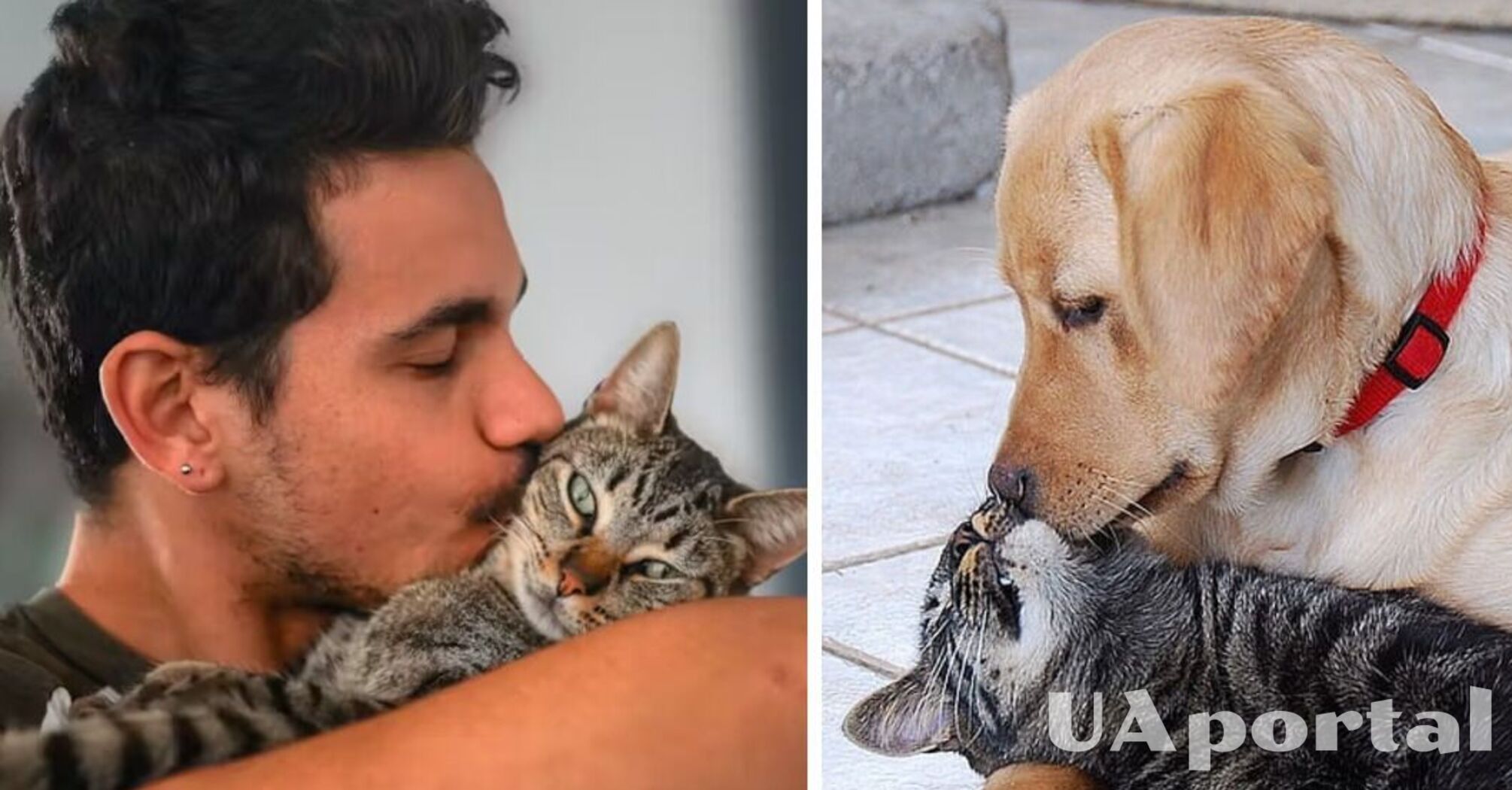 Чому не варто цілувати собак або котів: які ризики для здоров'я