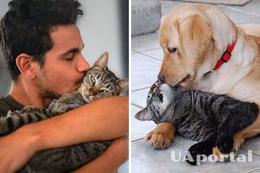 Почему не стоит целовать собак или кошек: какие риски для здоровья