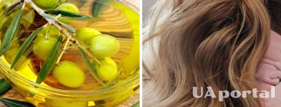 Чем оливковое масло может помочь вашим волосам: полезные советы