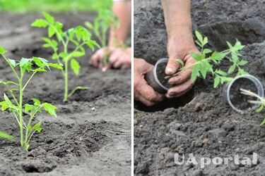 Врожай на заздрість всім: що треба посадити до Великодня згідно з народними прикметами