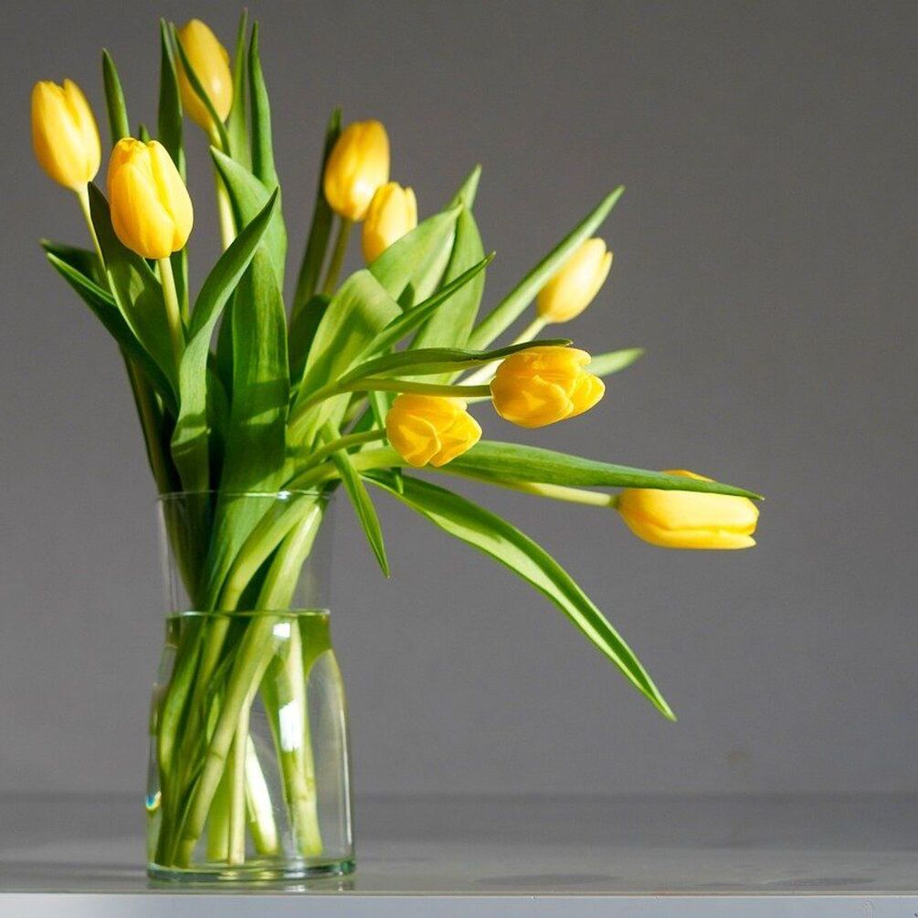 Як продовжити життя зрізаних квітів: практичні поради