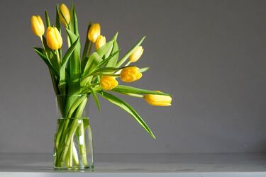 Продовження життя зрізаних квітів у вазі