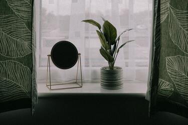 Постоянные проблемы в семье и на работе? Посмотрите на вазоны на своих подоконниках