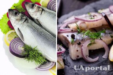 Людям, с какими заболеваниями нельзя есть сельдь: может обострить состояние