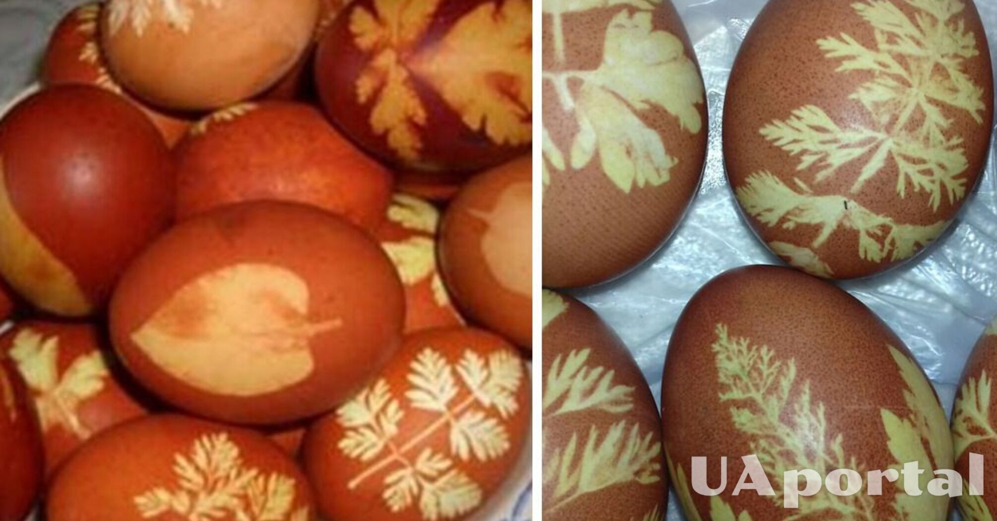 Як пофарбувати яйця на Великдень за допомогою цибулиння 