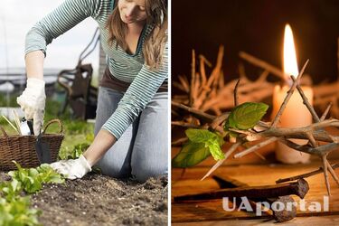 Можно ли работать на огороде перед Пасхой в Страстную неделю