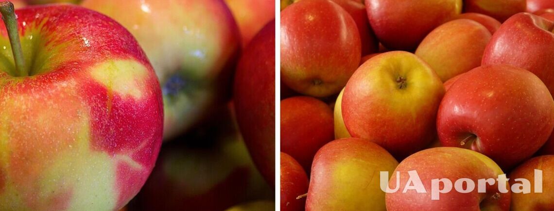 Фахівці розповіли, як правильно зберігати яблука: будуть тверді та соковиті