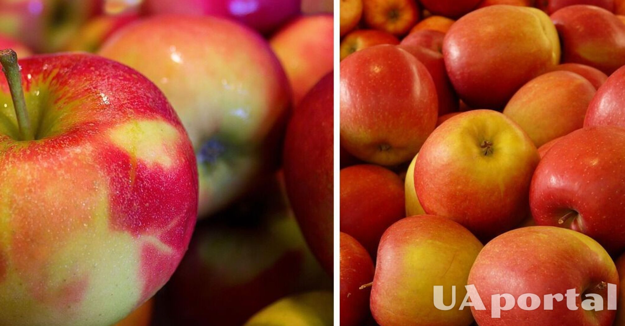 Специалисты рассказали, как правильно хранить яблоки: будут твердые и сочные