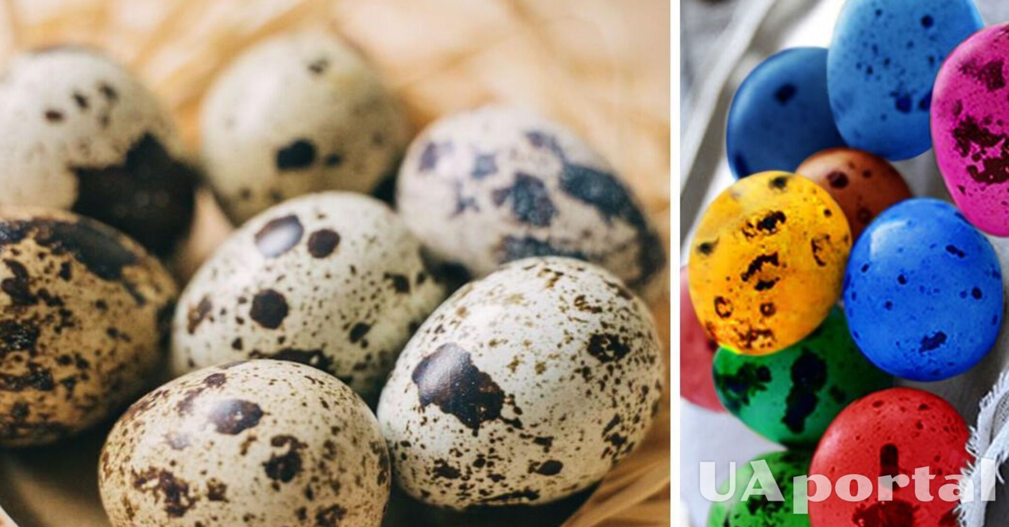 Удивите малышей: как и в чем покрасить перепелиные яйца на Пасху