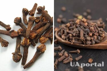 Удачно заменит жвачку: какая специя может нейтрализовать неприятный запах изо рта.