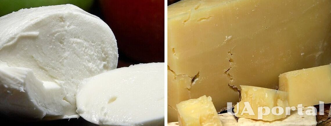 Специалисты объяснили, как правильно хранить сыр, в зависимости от его вида
