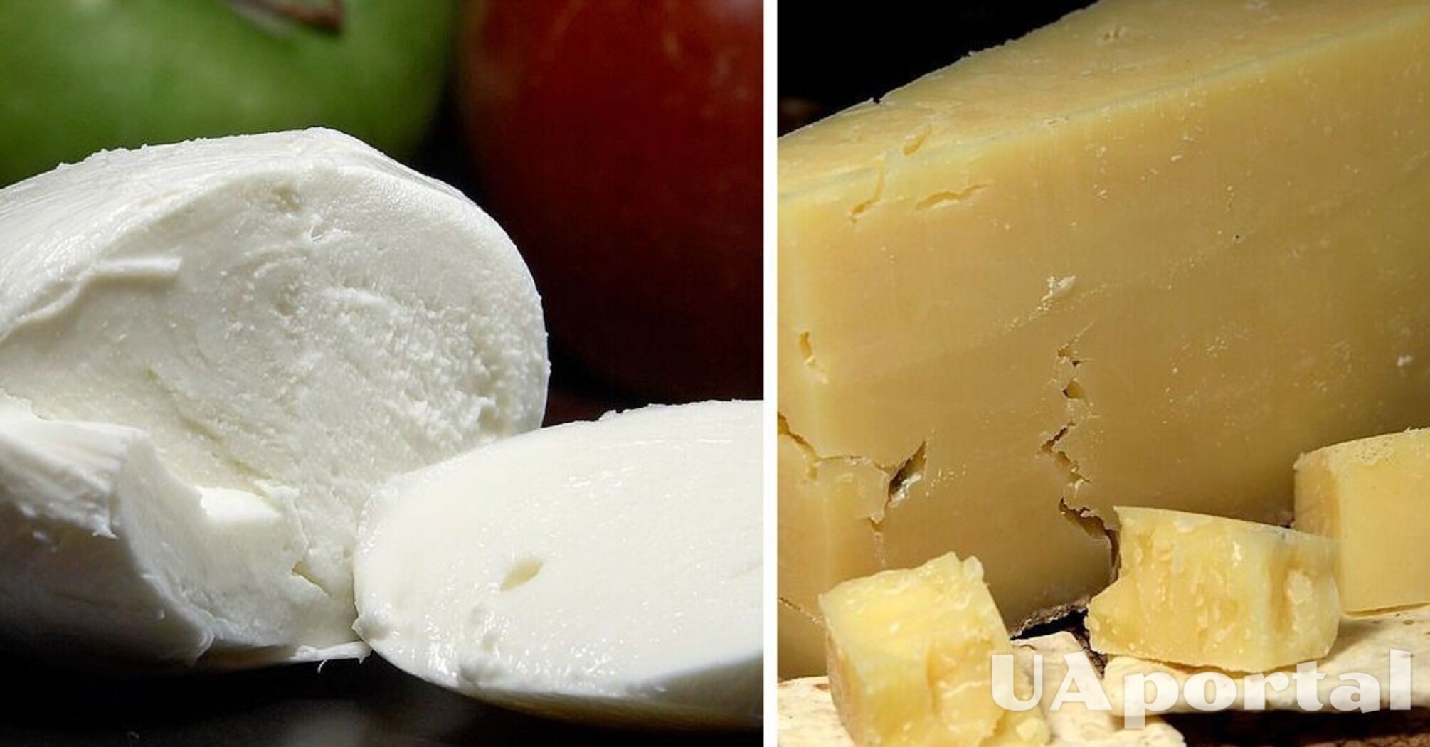 Фахівці пояснили, як правильно зберігати сир, залежно від його виду