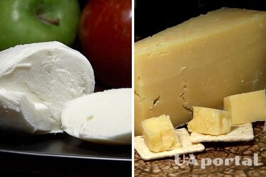 Experts explained how to store cheese properly, depending on its type